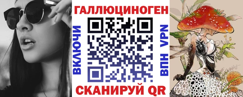 Купить где  Куса  Псилоцибиновые грибы прущие грибы 